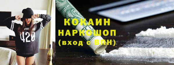 шишки Гусев