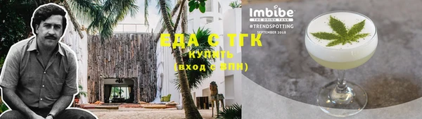 шишки Гусев