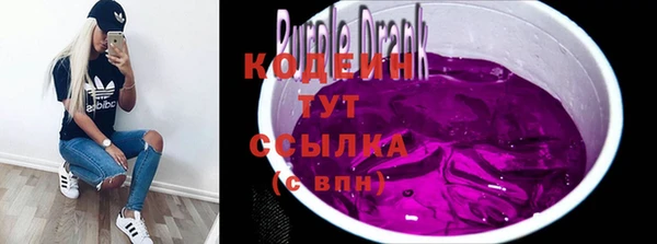 шишки Гусев