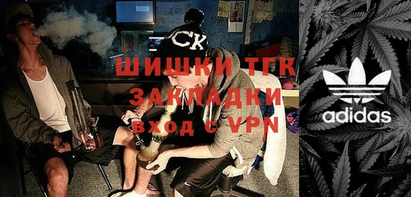 шишки Гусев