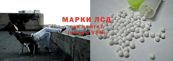 шишки Гусев