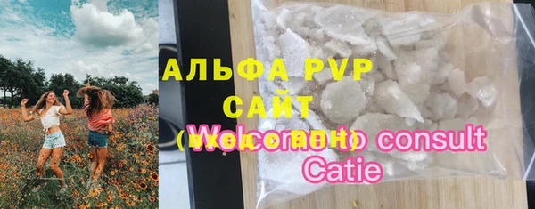 шишки Гусев