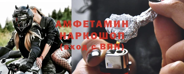 шишки Гусев